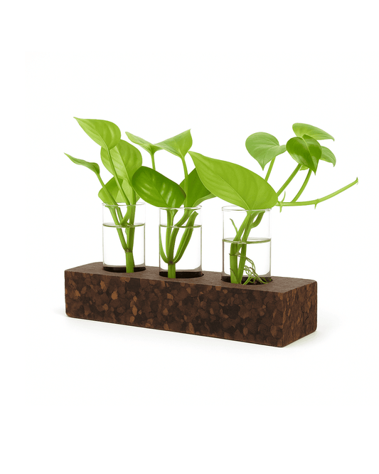 Cork test tube planter (3 Hole)
