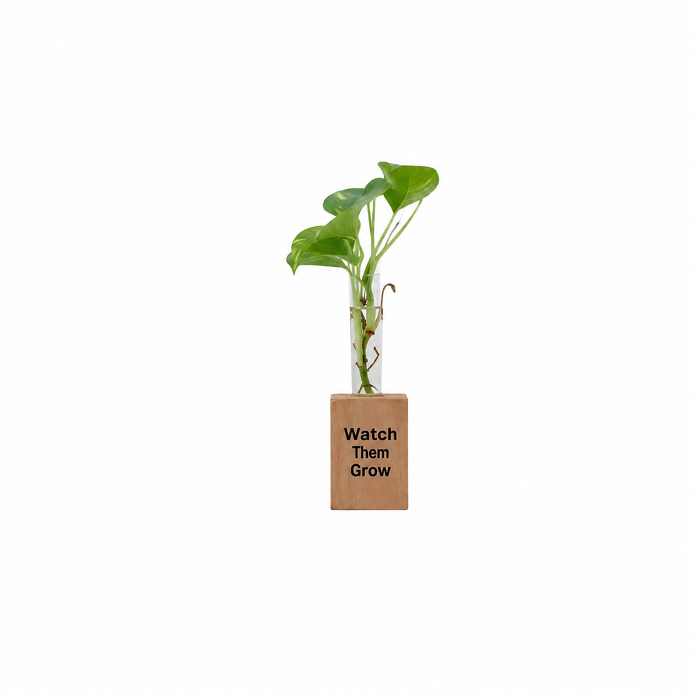 Fridge Magnet Testube Planter