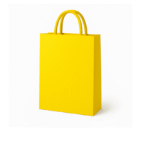 Designer Paper Bag (8x10 inches) Designer Paper Bag (8x10 inches)