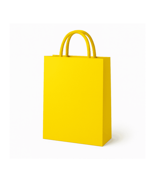 Designer Paper Bag (8x10 inches) Designer Paper Bag (8x10 inches)