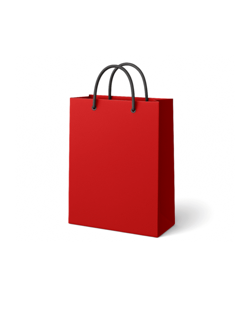 Designer Paper Bag (8x10 inches) Designer Paper Bag (8x10 inches)