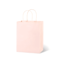 Designer Paper Bag (8x10 inches Designer Paper Bag (8x10 inches