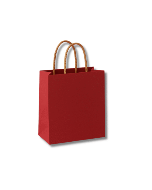 Designer Paper Bag (8×10 inches) Designer Paper Bag (8×10 inches)