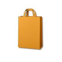 Designer Paper Bag (8x10 inches) Designer Paper Bag (8x10 inches)