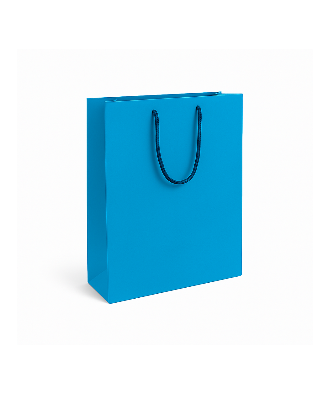 Designer Paper Bag (8x10 inches) Designer Paper Bag (8x10 inches)