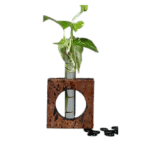 Sustainable Desk Delight Sustainable Desk Delight