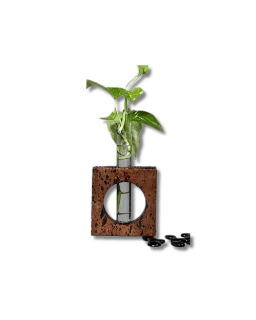 Sustainable Workspace Gift Set Cork Planter with Test Tube