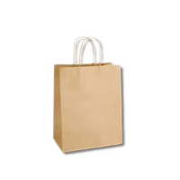 The Festive Voyager Kit- Designer Paper Bag Designer Paper Bag