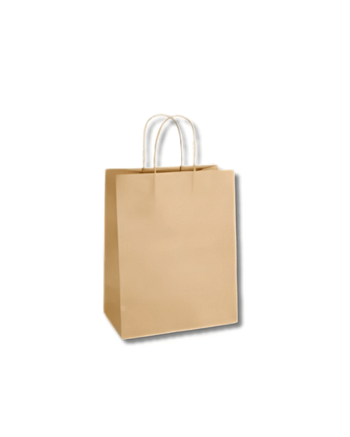 The Festive Voyager Kit- Designer Paper Bag Designer Paper Bag
